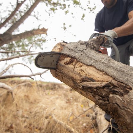 Closeup of a lumberjack with a chainsaw in a forest A closeup of a lumberjack with a chainsaw in a forest